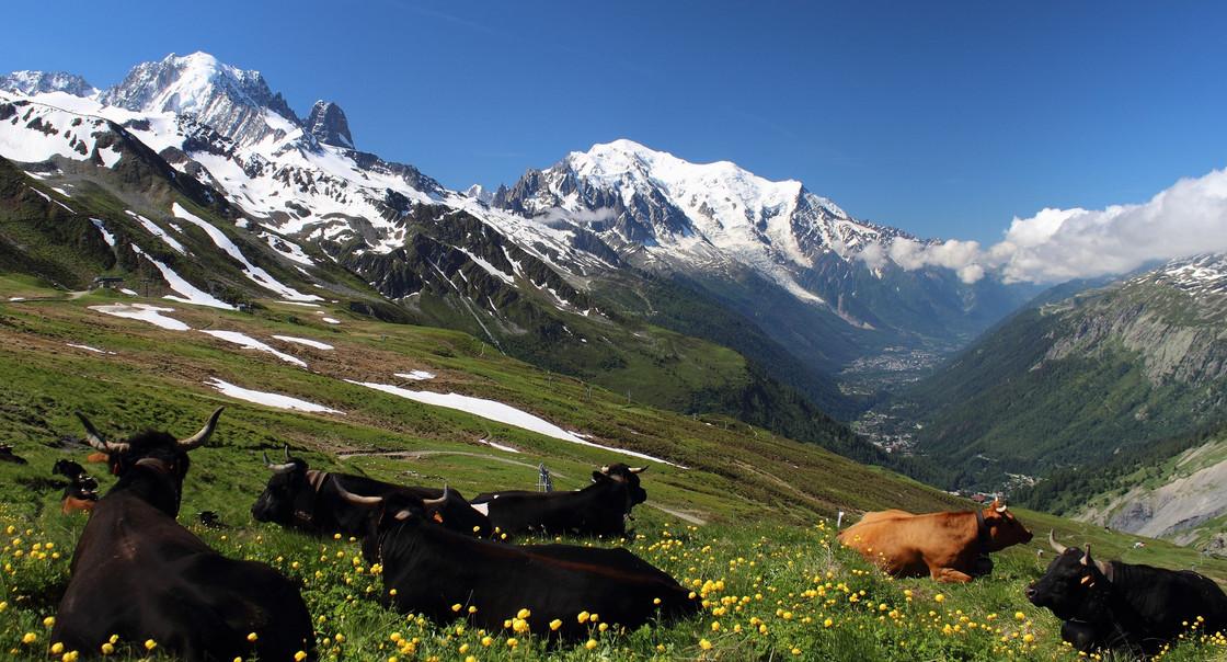 Mont Blanc